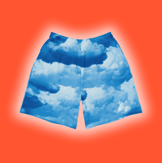 Lyfted's Heaven Baby Blue Swim Shorts Front